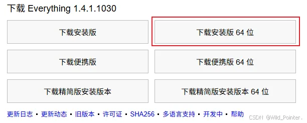 高效工具实战指南:Everything文件搜索工具